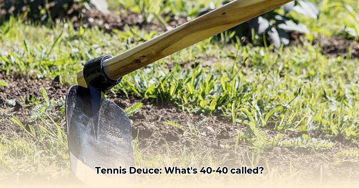 hoe-heet-bij-tennis-de-stand-4040